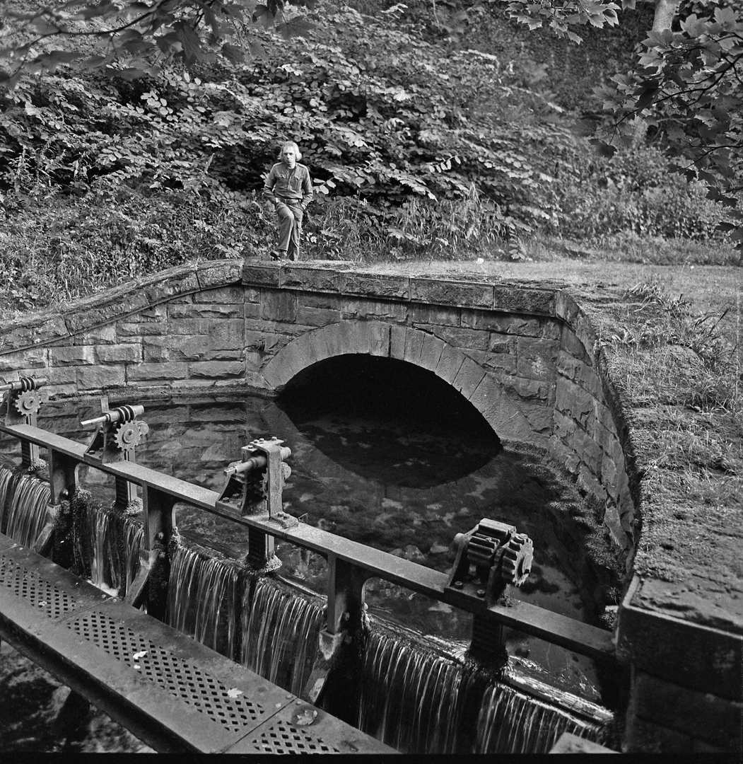 Meerbrook Sough tail 1979  (local water supply)